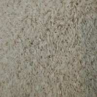 برنج هاشمی صددرصد اصل قیمت مناسب