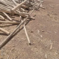 خریدوفروش چوب