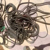 تسمه کره ایی  سایز B  دونه ایی 200 هزار تومن