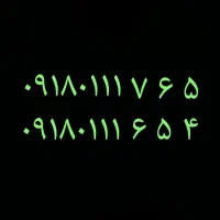 سیمکارت دائمی 0111