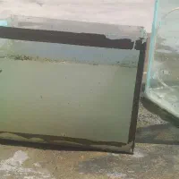 اکواریوم