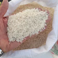 استخدام بازاریاب تخصصی برنج