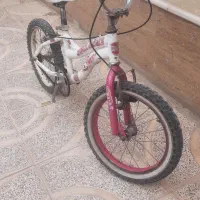 دوچرخه ۱۶ سالم