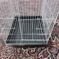عروس هلندی