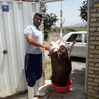 قصاب
