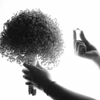 عکاسی بله برون عقد محضر تولد. کودک