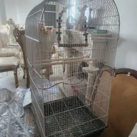 قفس پرنده  بزرگ