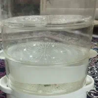 بخار پز سالم