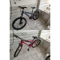 دوعدوچرخه