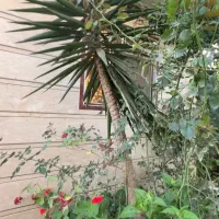 فروش فوری ویلای ۲۷۵متری