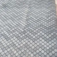 موکت سالم و شسته شده