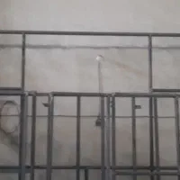در و پنجره