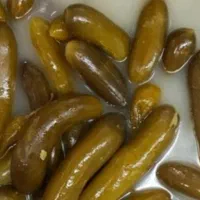 خیارشور
