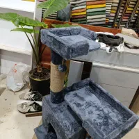 لانه گربه