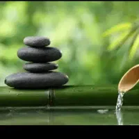 تراپی و ماساژ