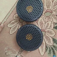 میدرنج مارک تاکاماتسو دهنه۸