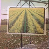 فروش کتاب های دانشگاهی مهندسی ،کشاورزی..