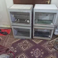 قفس‌حیوانات