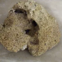 بخاری آکواریوم در حد و سنگ آکواریوم زیبا