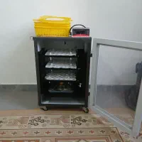 دستگاه جوجه کشی