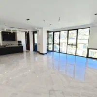 ۲۵۰ متر شخصی ساز تک واحدی لاکچری غرق نور بدون ریشه