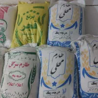 برنج شمال