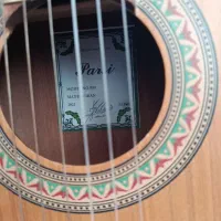 گیتار پارسیP80