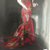 لباس مجلسی نو در حد دوساعت پوشیدم