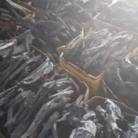 ذغال طاق عمده