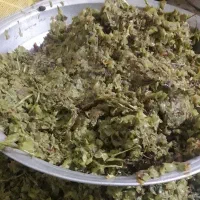 تفاله دام مقوی و بسیار به صرفه