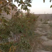 زمین-فروشی