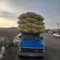 کاه