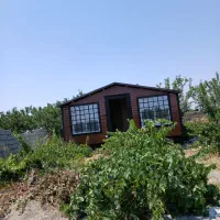 زمین-باغ-و-باغچه-با-طبیعت-بکر