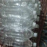 عرق نعنا