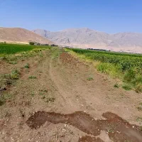 زمین کشاورزی نجوبران