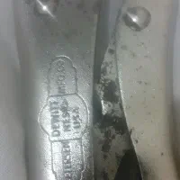انبرقفل امریکایی