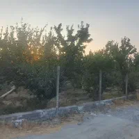 باغ