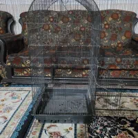 قفس پرنده