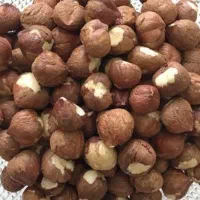 فندوق اعلا