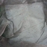 پرده تور