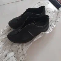 کفش زنانه برند اکو