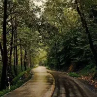 تور شمال مسافرت انفرادی