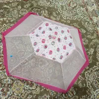 پشه بند چتری
