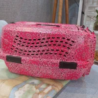 باکس گربه و سگ کوچک جثه