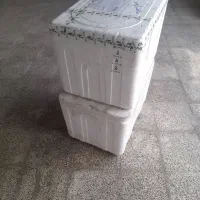 کاچو