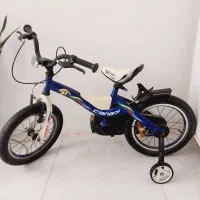 دوچرخه ۱۶ حرفه ای