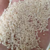 برنج نیم دانه