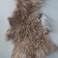 پوست بز تمیز شده