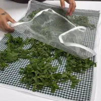 میوه  و سبزی خشک کن