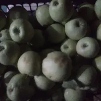 سیب